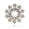 Crystal Decagon Brooch*Royal Collection Shop Best