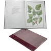 Limited Edition The Queen'S Mulberries*Royal Collection Shop Discount